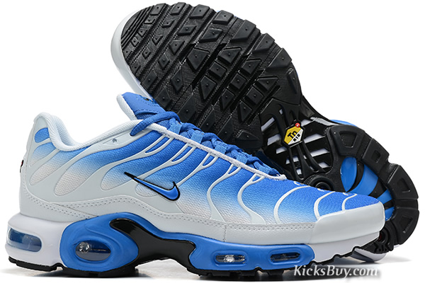 Nike Air Max TN 8909-A113